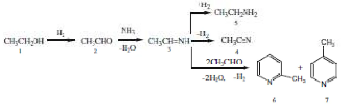 Figura 6.2: Meccanismo di reazione proposto dal gruppo di ricerca presieduto da Y.Zhang e  J.Zhao xlviii 