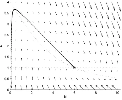 Figura 1.6: Piano delle fasi del modello del chemostato con condizioni iniziali N (0) = 0.1 C(0) = 0.1 e parametri α 1 = 2 e α 2 = 4.