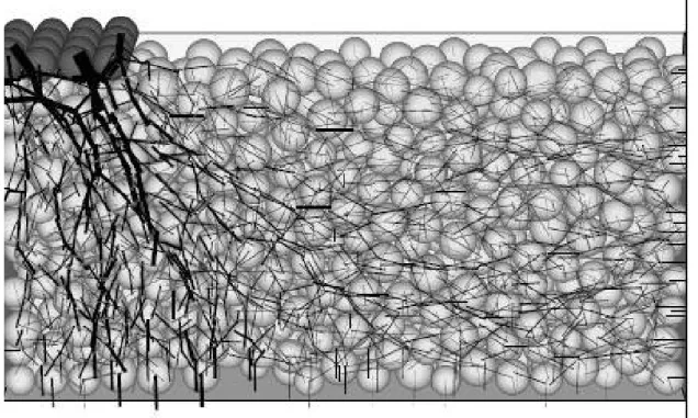 Figura 3.2 Esempio di rappresentazione delle forze di contatto PFC3d 