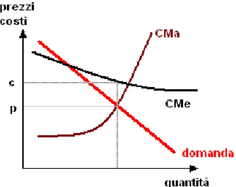 Figura 1.4: Costi Medi Decrescenti Fonte: Immagine tratta dal sito www.ecoage.it