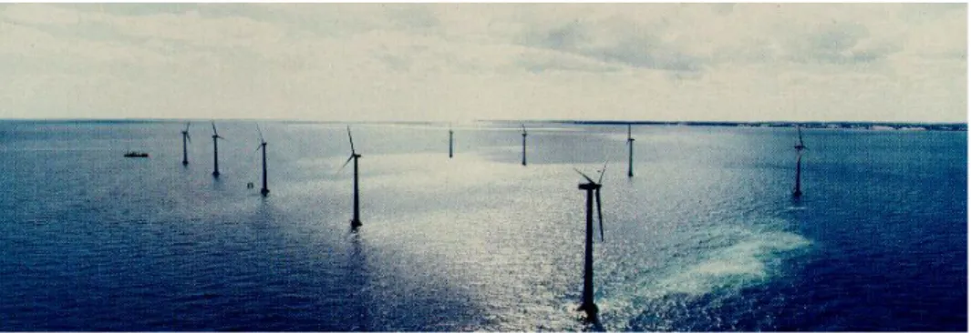 Figura 2.19, Visione aerea del parco eolico in mare di Tunø Knob. 