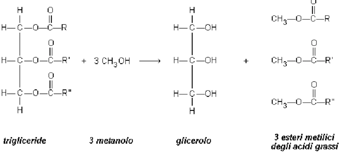 Figura 1.7: reazione di transesterificazione di un grasso con metanolo 