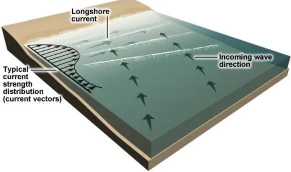 Fig. 36: Dinamica delle correnti di riva (Zanuttig, 2008)  Correnti lungo riva e correnti di rip sono sempre presenti nella surf zone