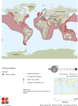 Figura 5. Distribuzione globale del Grampo (Grampus  griseus) (Taylor et al. 2008; © IUCN): acque tropicali e  caldo temperate in entrambi gli emisferi