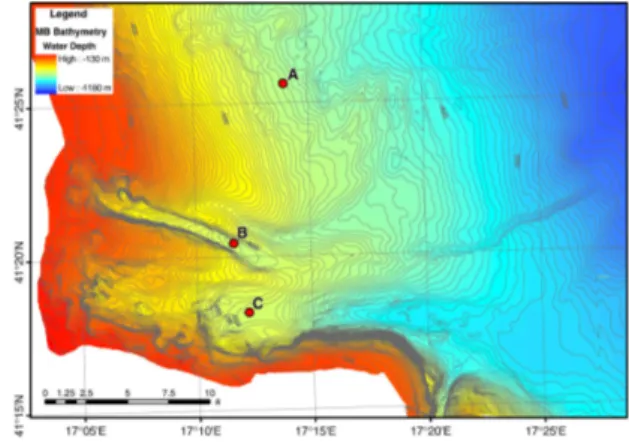 Figura 2. Batimetria del Canyon di Bari ottenuta. Isolinee ogni 10 m. 