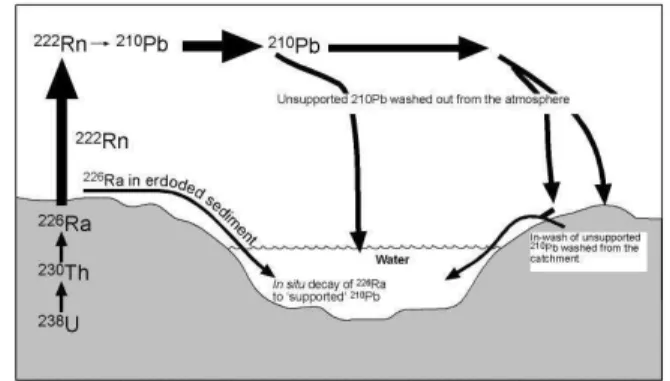 Figura 8. Ciclo del  210 Pb in mare. 