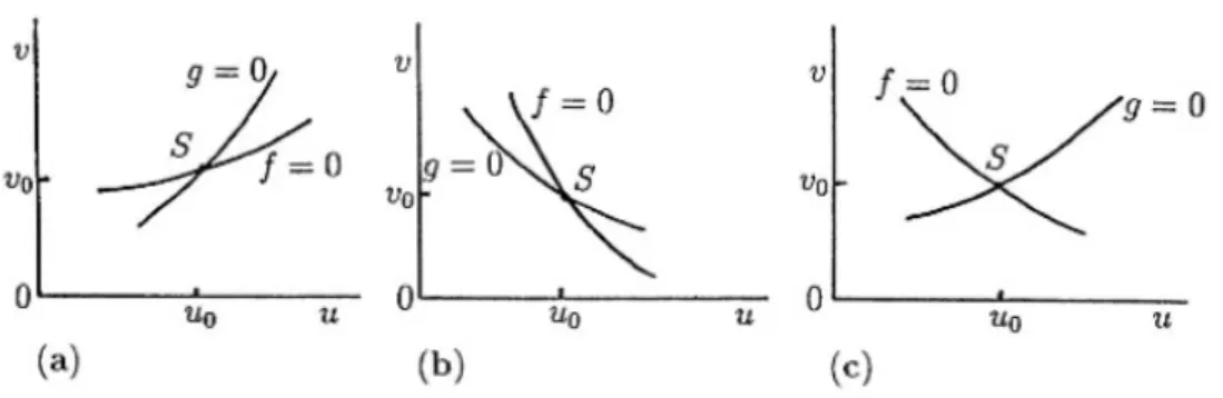 Figura 1.1: Comportamento locale delle nullcline f = 0 e g = 0 nello stato di equilibrio S(u 0 , v 0 ).