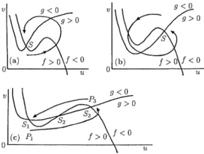 Figura 1.4: Fenomeni di soglia per la (1.6). Nella (c) una perturbazione oppor- oppor-tuna da uno stato di equilibrio linearmente stabile pu` o causare un cambiamento permanente agli altri stati di equilibrio stabili.