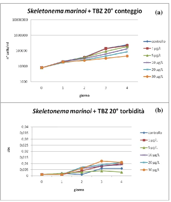 Fig  8.1:  Curve  di  crescita  di  Skeletonema  marinoi  a  20°C  in  presenza  di  concentrazioni  crescenti  di  terbutilazina
