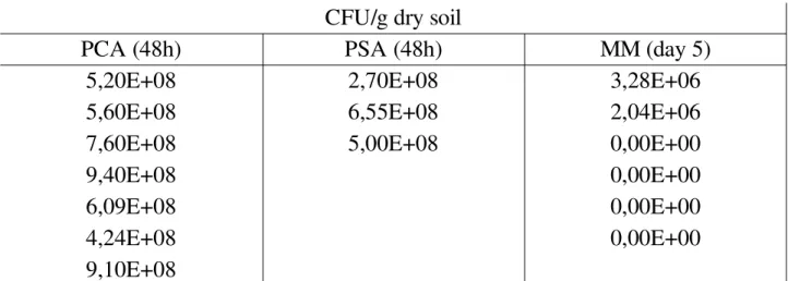 Table 6: Total counts of microorganisms in TO+CO+JAB1=contaminated augmented soil, the  beginning; PCA=Standard Plate Count Agar; PSA=Pseudomonas Selective Agar; MM=Minimal  Medium; CFU=Colony Forming Units
