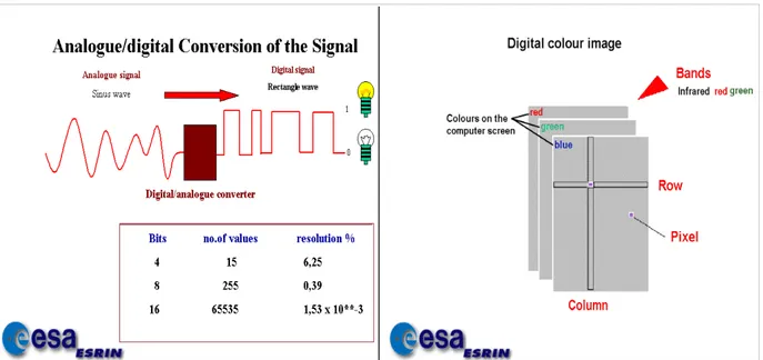 Figura  11: Digitalizzazione del segnale analogico e trasposizione dello stesso in matrici corrispondenti alle  bande di colore RGB (Fonte: [15])