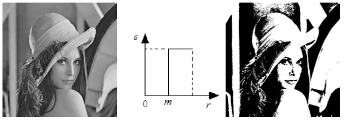 Figura 2.3: Binarizzazione