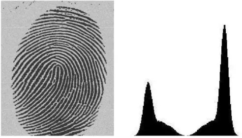 Figura 2.4: Impronta digitale e relativo Istogramma