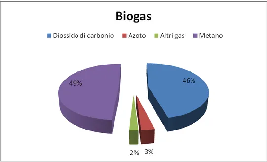 Figura 3.2 - Composizione media del biogas prodotto in discarica [1] 