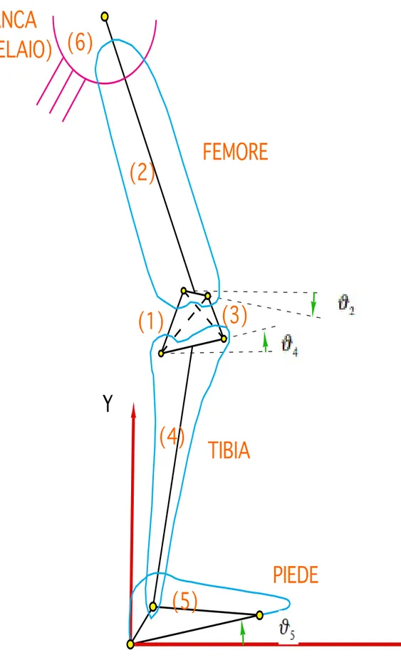 Figura 4.3: modello della protesi di arto inferiore utilizzato nella fase di volo(5)    TIBIA(4)PIEDE  ANCA!(6)(TELAIO)FEMORE(2)(1)(3)XY