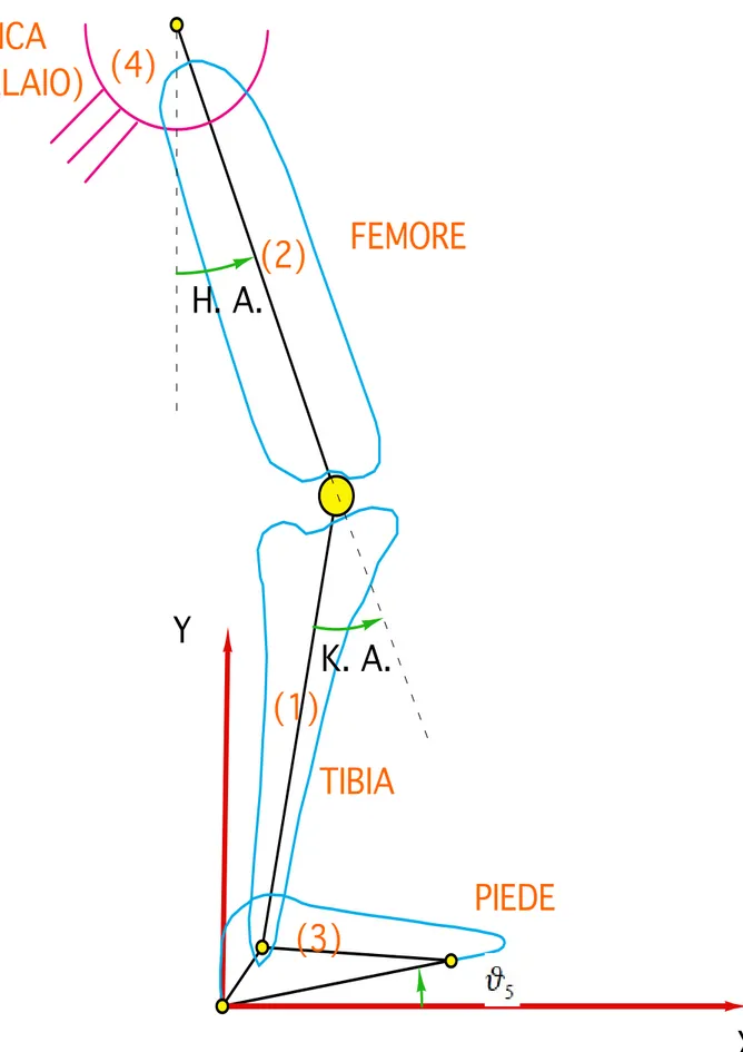 Figura 4.4: modello dell’ arto inferiore naturale utilizzato nella fase di volo(3)    TIBIA(1)PIEDE ANCA!(4)(TELAIO)FEMORE(2) XYH