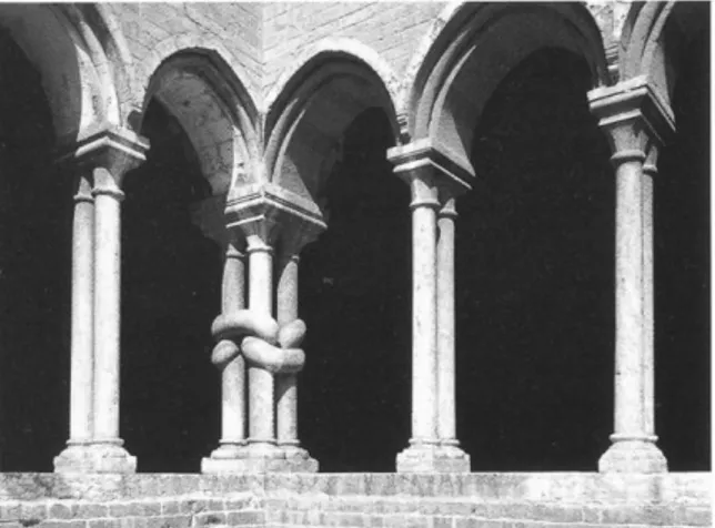 Figura 2.4: Colonne binate e annodate nel chiostro  dell’abbazia di Chiaravalle della Colomba,  