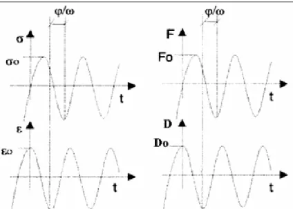 Figura 2.3: Rappresentazione della corrispondenza tra carico applicato F e  tensione σ , con spostamento misurato D e deformazione ε 
