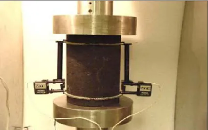 Figura 2.4: Apparecchiatura compressione assiale per il test del modulo  complesso su provini cilindrici