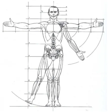 Figura 2.1: Proporzione tra le parti per disegnare il corpo umano
