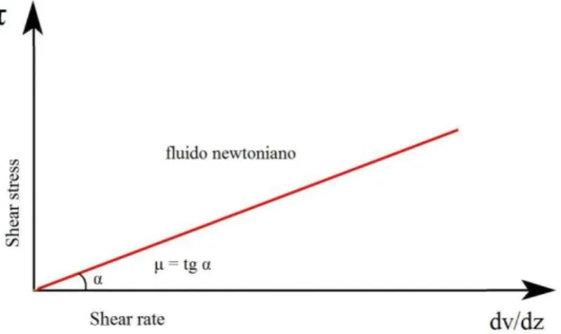 Figura 46 - relazione tra shear stress e shear rate per un fluido newtoniano  
