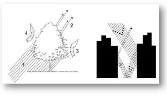 Figura 3  Interazione della radiazione solare con la vegetazione, a sinistra, e degli edifici, a destra