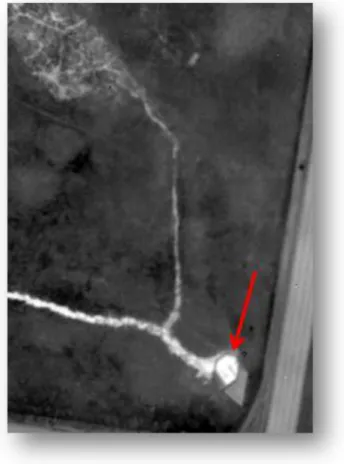 Figura  36   Immagine agli infrarossi della perdita di un canale di scolo 
