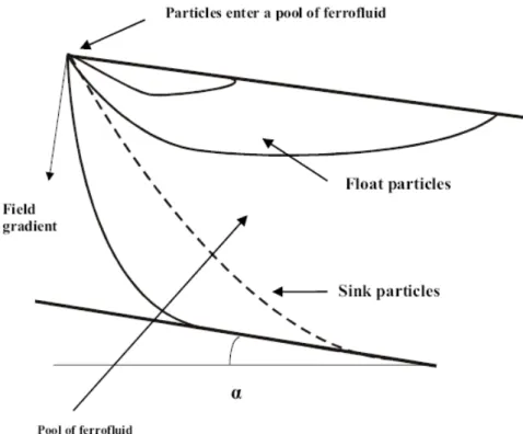 Figure 1.11 - Trajectories of float and sink particles in a stationary ferrofluid  placed in a non-homogeneous magnetic field