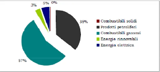 Figura  5  –  Ripartizione  %  dei  consumi  interni  lordi  in  funzione  della  fonte  energetica 