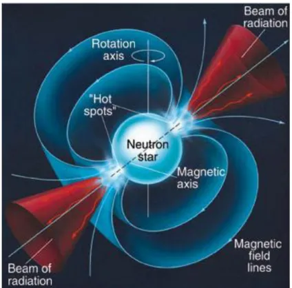 Figura 1.2: Densità, composizione e stratificazione di una stella di neutroni.  