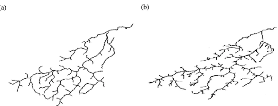 Figura 2-4 Confronto tra rete idrografica naturale ed estratta dal DEM [7]