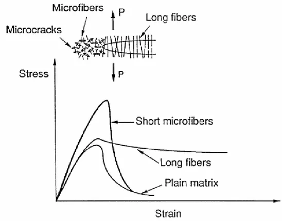 Figura 2.1. Differenti misure delle fibre e loro comportamento nel grafico sfozo- sfozo-deformazione