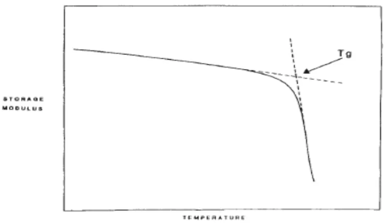 Figura 3.6 Determinazione della temperatura di transizione vetrosa 