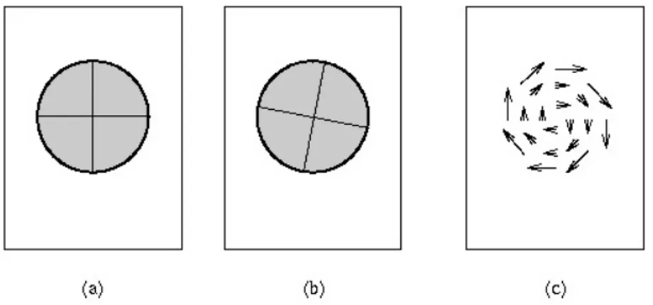 Figure 3.1: The principle of Optical flow: (a) Image at time t, (b) Image at time t+dt, (c) Optical flow field