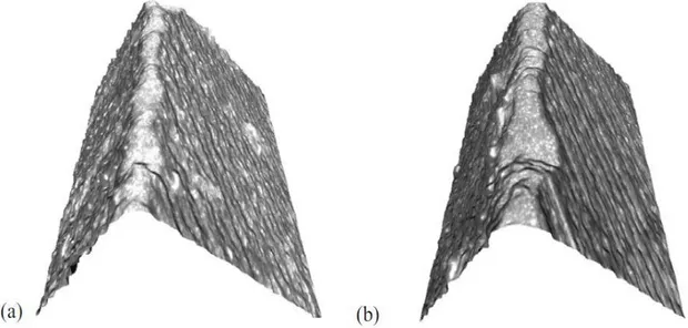 Figure 2.1.1 - 3D model of the cutting edge of a tool (a) before and (b) after usage.  [31]