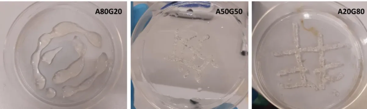 Figura  2:  Caratteristiche  dei  tre  gel  estrusi  tramite  siringa  a  temperatura  ambiente  in  piastra  di  Petri:  a  sinistra il gel A80G20, al centro il gel A50G50, a destra il gel A20G80
