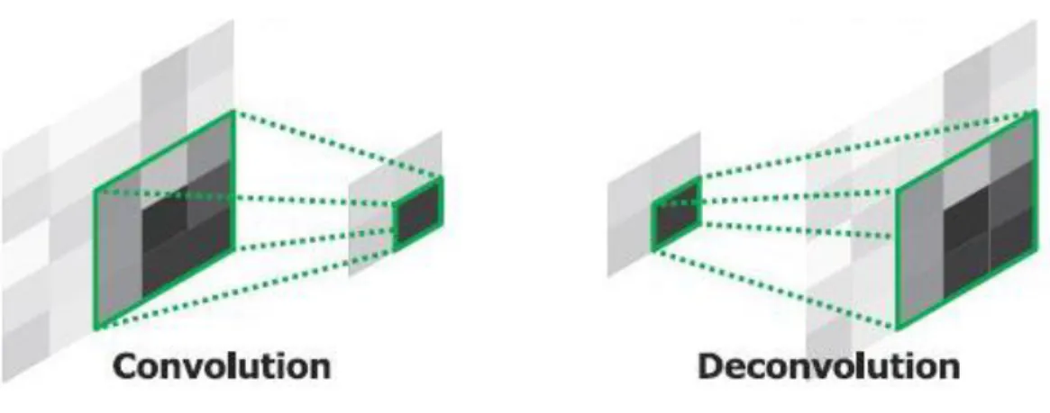 Figure 8: Graphic representation of the differences between convolution and deconvolution  layers 