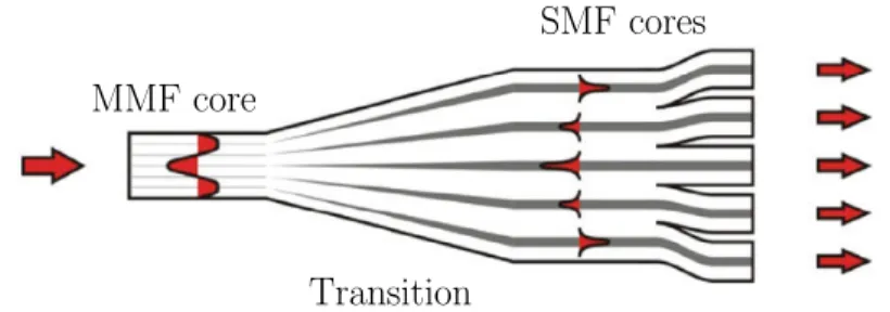 Figure 2.3: Photonic lantern device. The input is a MMF. After an adiabatic transition region, five SMFs are shown