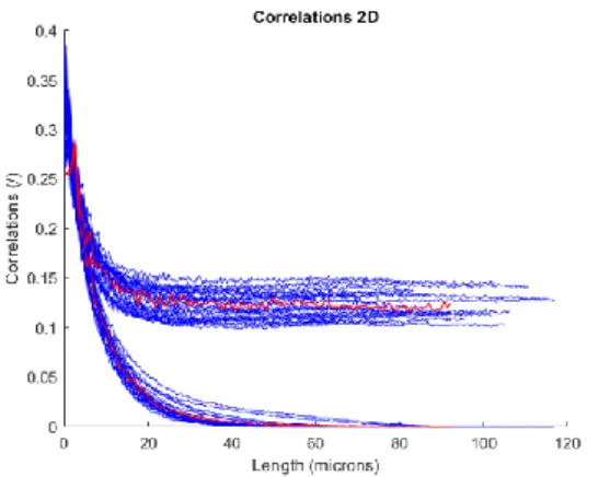 Figure 0.6. Correlazioni 3D di riferimento (rosso) vs.  ricostruite (blu), distanza in µm (orizzontale) vs