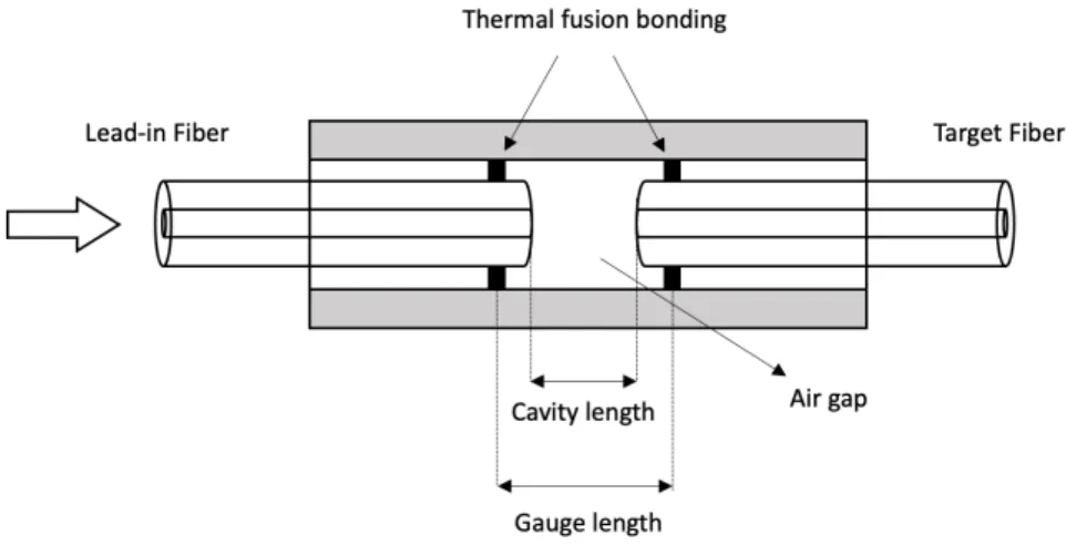 Figure 1.6: Capillary tube based EFPI sensor.