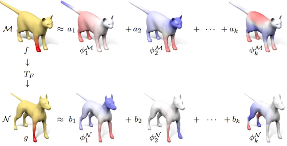 Figure 3.2: Basis functions applied to source shape M and target shape N.