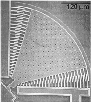 Figure 1.1: SEM image of a typical silicon MEMS accelerometer [4]