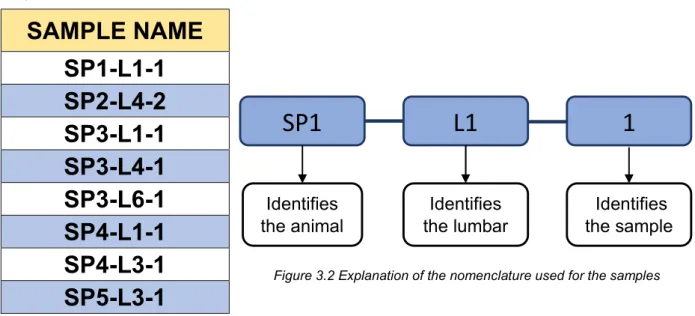 Figure 3.2 Explanation of the nomenclature used for the samples Table 3.1 Names of the 3D-printed 