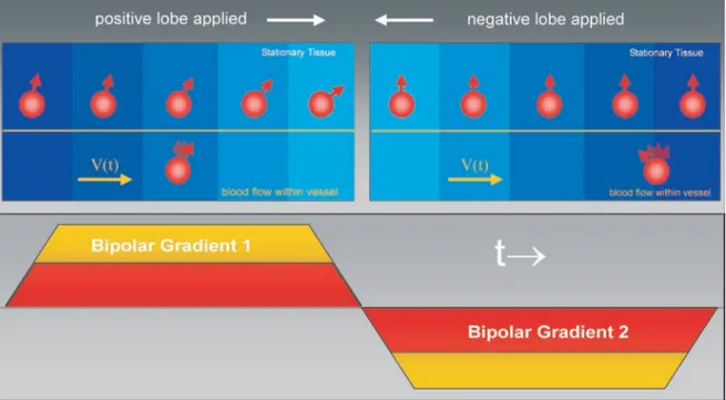 Figure 1.6: Principle of bipolar gradient phase-contrast sequences. Two acquisitions are per- per-formed, using opposite gradients