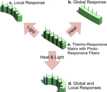 Figure 1.12  Adapted schematic illustration of the  constrained-thermo-mechanism in 4D printing