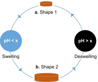 Figure 1.16  Schematic illustration of the Unconstrained  magnetic mechanics in 4D printing.