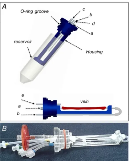 Figure  2.2.  3D  CAD  model  of  the  SV  culture  chamber.  The  chamber  consists  of  the  SV  housing  inserted  into a 50-ml falcon tube which acts  as a reservoir; a and b are the ports  for  the  vessel  connection  sites;  c  and  d  are  the  por