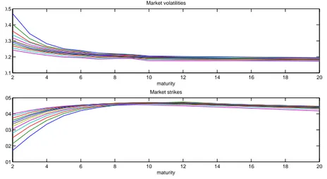 Figure 4.4: Market swaption volatilities and strikes for maturities and tenors given by the vectors mat and d.