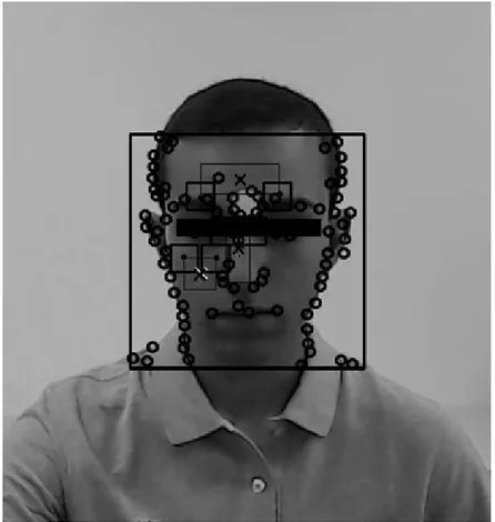 Figure 4.1: Video signal being processed by the OpenCV software. Tracking points and ROIs are visible on the picture
