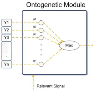 Figure 3.5: Ontogenetic Module
